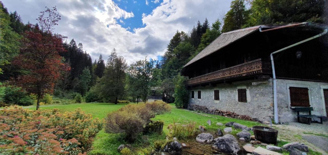 Appartement-3-Chambres-8-Couchages-Wifi-Montriond-Chebourins المظهر الخارجي الصورة
